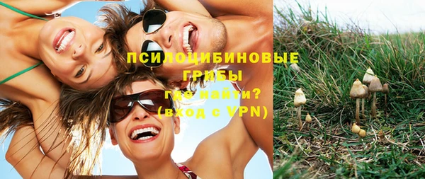 a pvp Абдулино