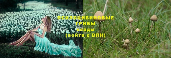 МДМА Алексеевка