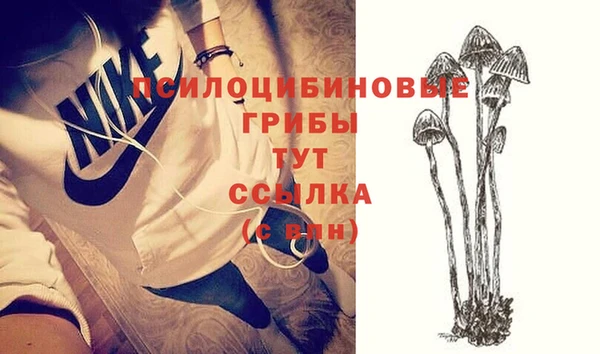 прущий лед Алексин