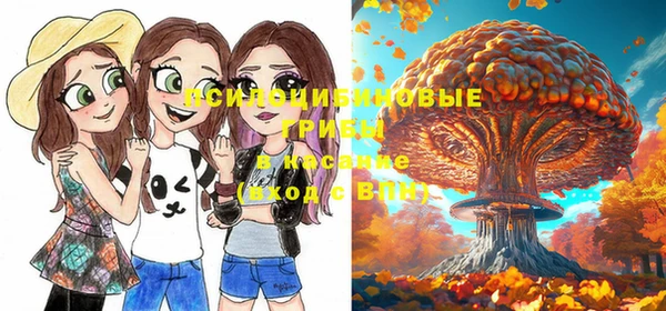 экстази Абинск