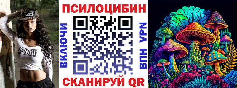 Псилоцибиновые грибы Psilocybine cubensis Тарко-Сале